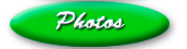lure photos