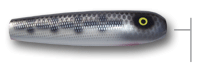 silver dollar bass