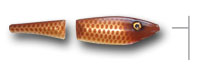 carp lure