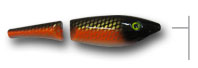 arthur sucker lure