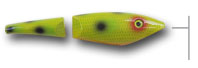 green scale frog