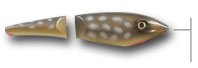 northern pike lure