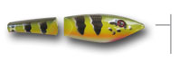peacock bass lure