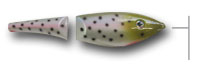 rainbow trout lure