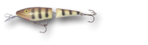 lure shayla shad jointed