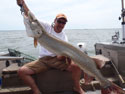 scott moffet