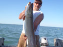 scott moffet